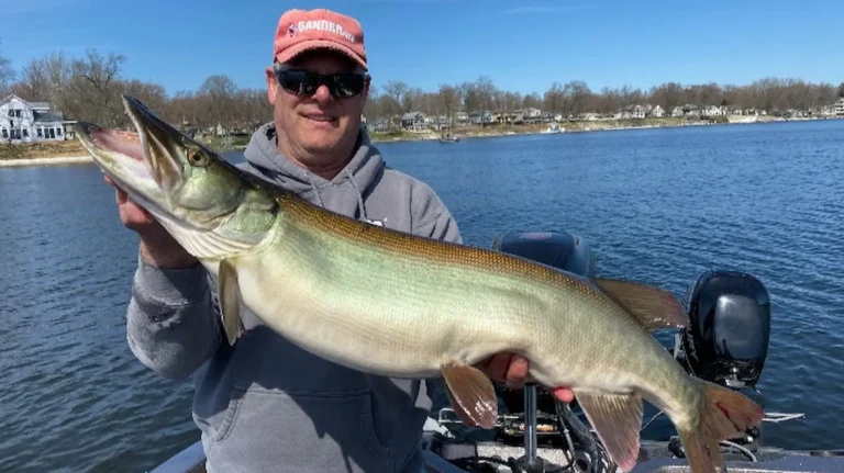Angler holding a musky caught on Lake Minnetonka, Minnesota